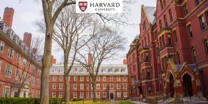 harvard no programa inglês férias teen